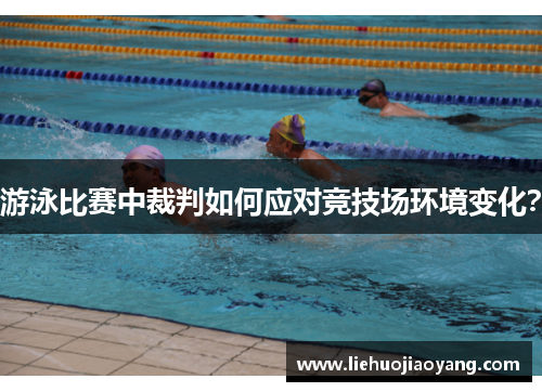 游泳比赛中裁判如何应对竞技场环境变化？