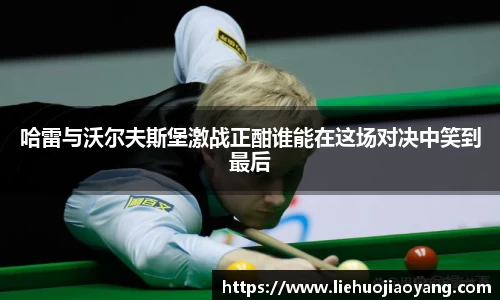 哈雷与沃尔夫斯堡激战正酣谁能在这场对决中笑到最后